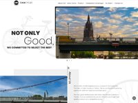 迦莎賽克有限公司