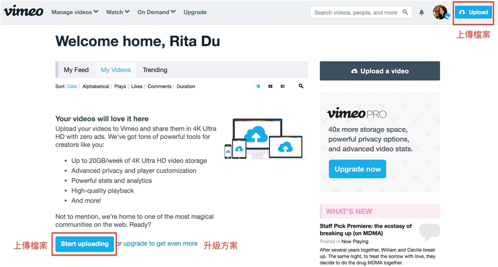 Vimeo04
